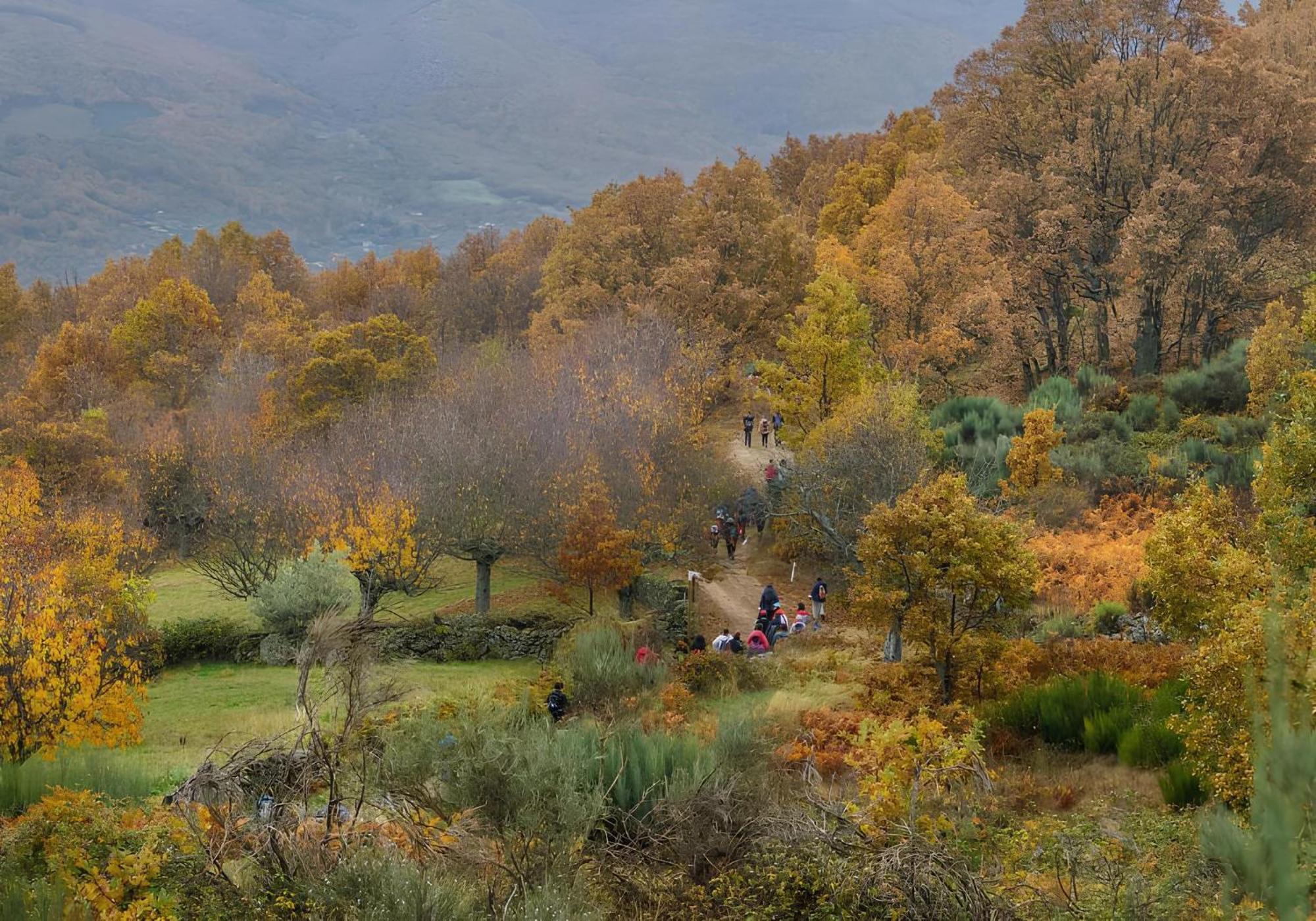 Casa Rural Arbequina-Piscina Natural A 100 Metros Casas del Monte エクステリア 写真