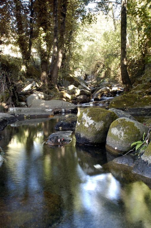 Casa Rural Arbequina-Piscina Natural A 100 Metros Casas del Monte 部屋 写真